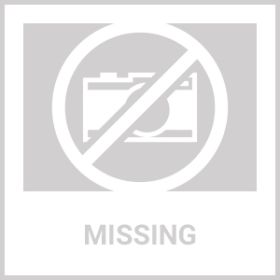 Bee Pearl Powder Energy, Immunity, And Skin Support With Bee Bread, Propolis, Royal Jelly And Vitamin C  30 Sachets (option: BEE BREAD POWDER)